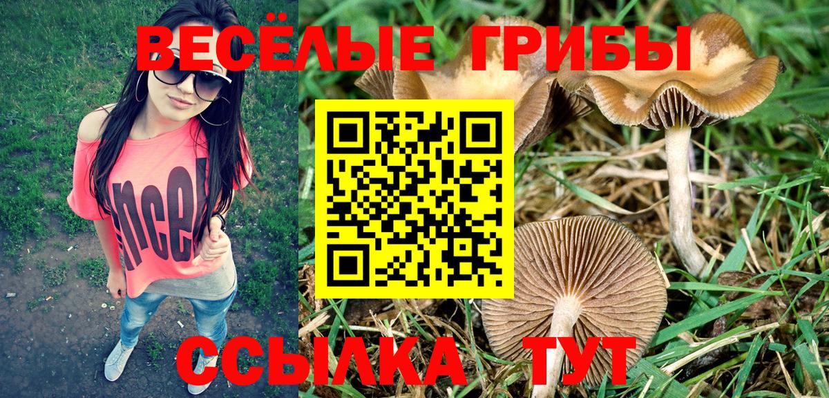 Жигулёвск  Галлюциногенные грибы прущие грибы  Вход с VPN 